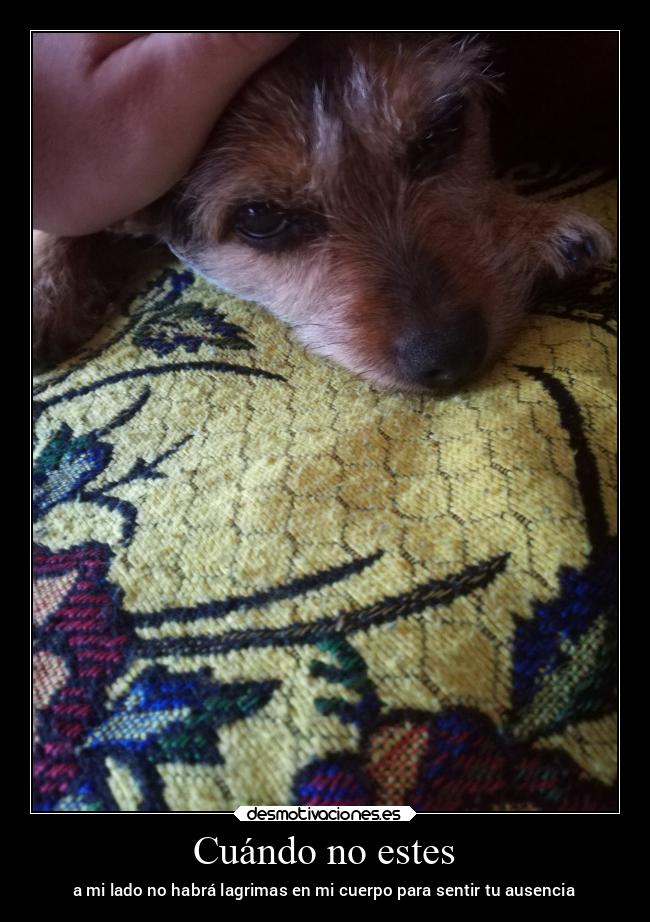 Cuándo no estes - a mi lado no habrá lagrimas en mi cuerpo para sentir tu ausencia
