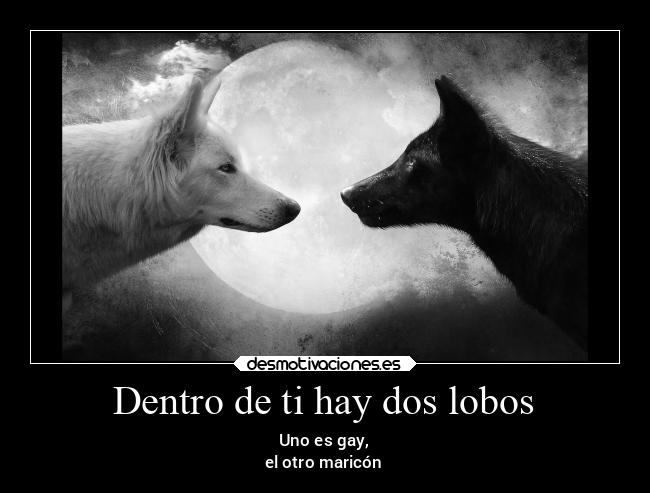 Dentro de ti hay dos lobos - Uno es gay,
el otro maricón