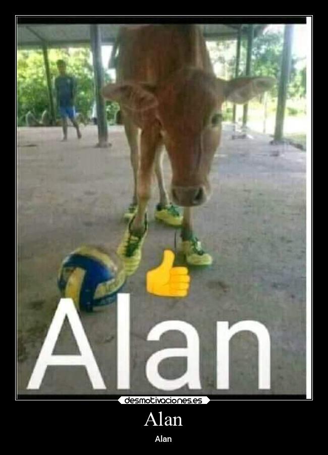 carteles chiste alan una wea simplemente epica desmotivaciones