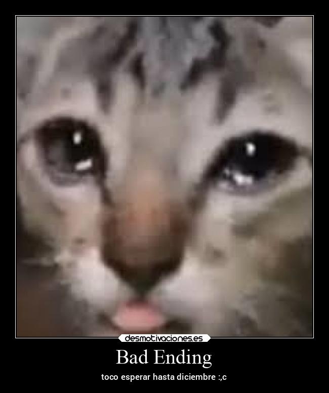 carteles chiste llorar esperar algo diciembre pero quieres para desmotivaciones