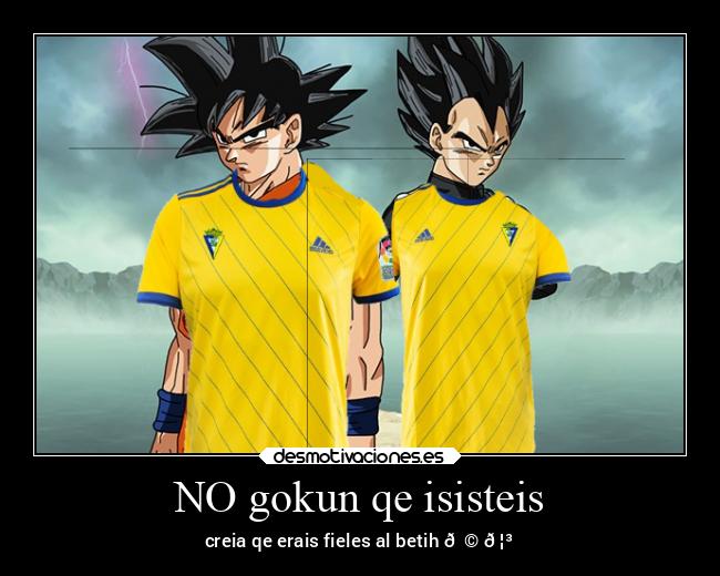 NO gokun qe isisteis -