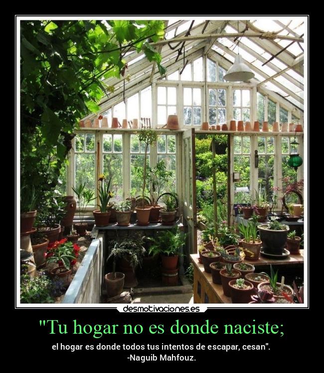 Tu hogar no es donde naciste; - 