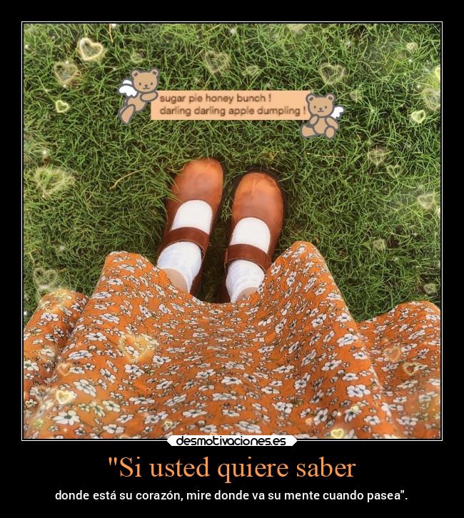 Si usted quiere saber -