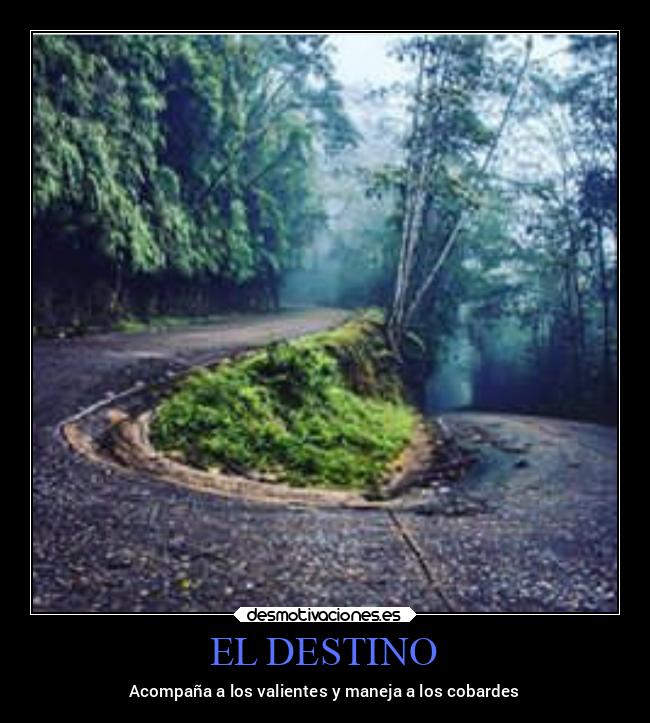 carteles destino destino desmotivaciones