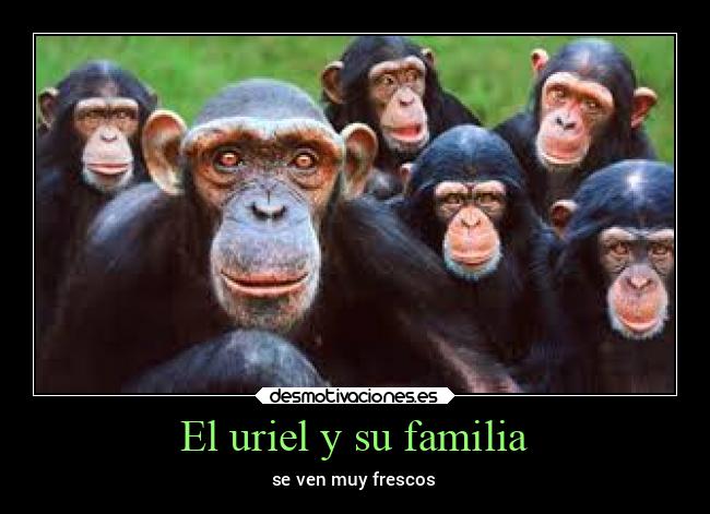 El uriel y su familia - se ven muy frescos