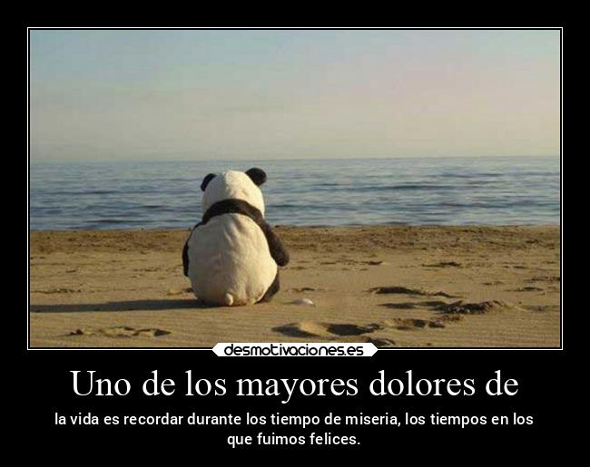 carteles frases felicidad dolor vida desmotivaciones