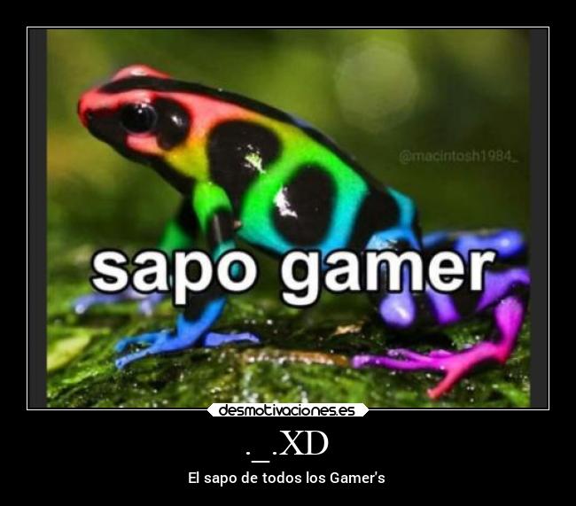 ._.XD - El sapo de todos los Gamers