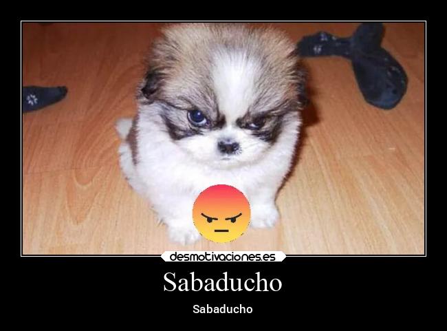 Sabaducho - Sabaducho