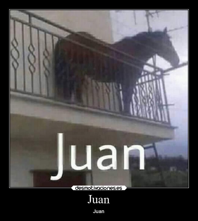 Juan - Juan