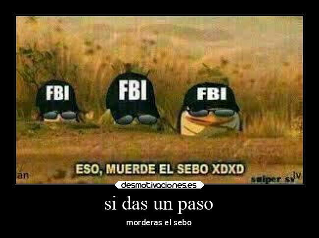 carteles memes desmotivaciones