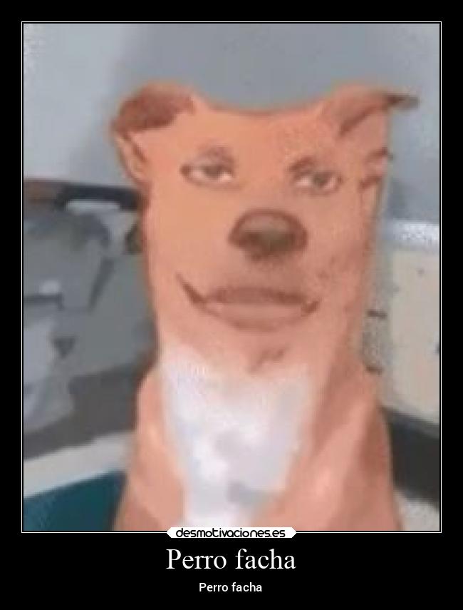 Perro facha - Perro facha