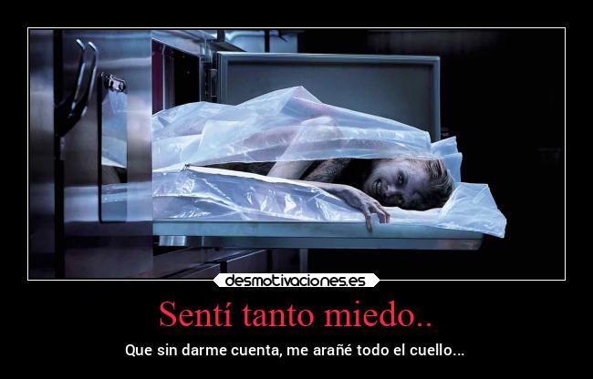 carteles miedo miedo hayganasdehalloween frasesparaelrecuerdo 2020 cadaver peliculon desmotivaciones