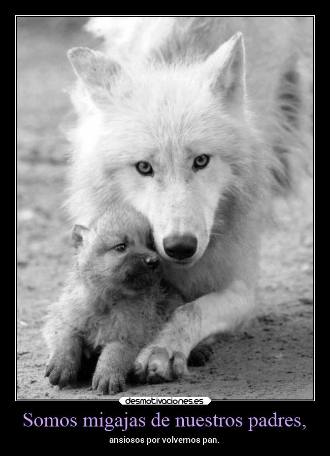Somos migajas de nuestros padres, - ansiosos por volvernos pan.
