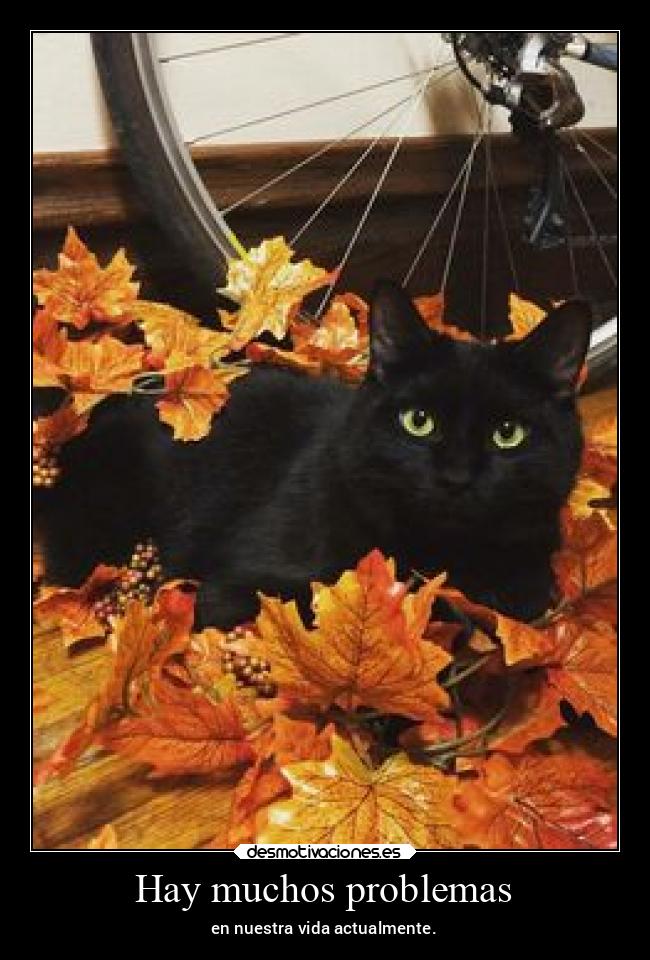 Hay muchos problemas - en nuestra vida actualmente.