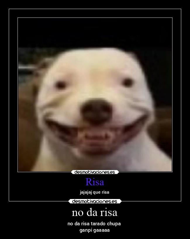 no da risa -