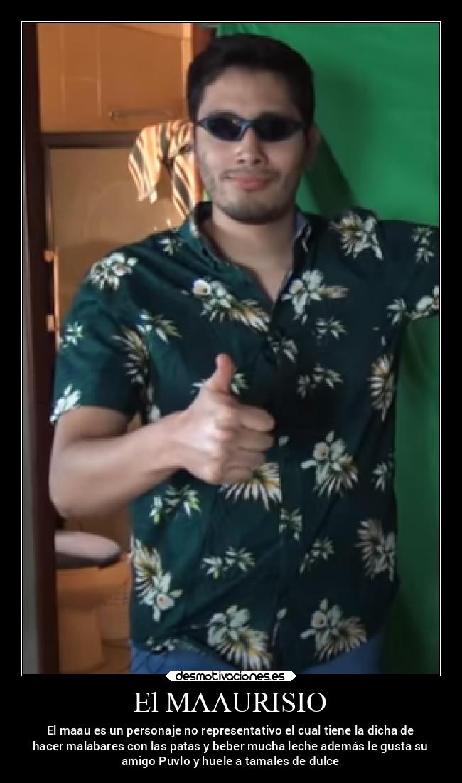 El MAAURISIO - El maau es un personaje no representativo el cual tiene la dicha de
hacer malabares con las patas y beber mucha leche además le gusta su
amigo Puvlo y huele a tamales de dulce