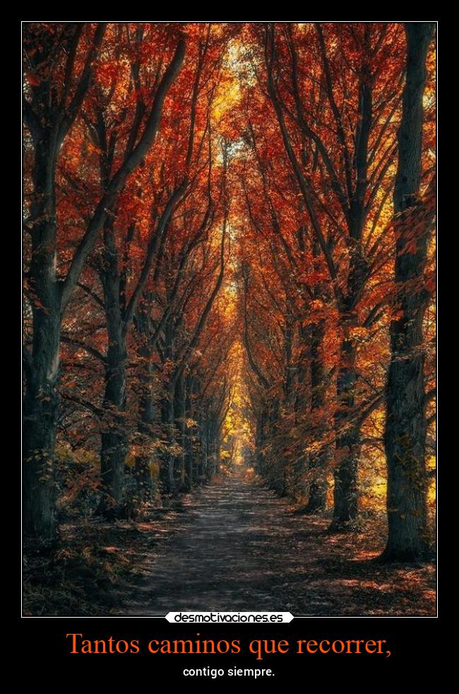 Tantos caminos que recorrer, - contigo siempre.