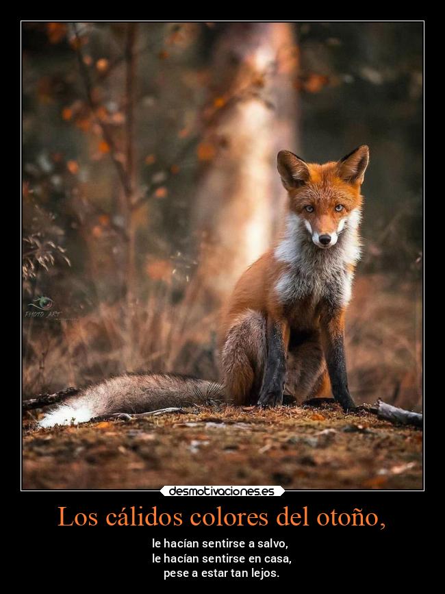 Los cálidos colores del otoño, - 