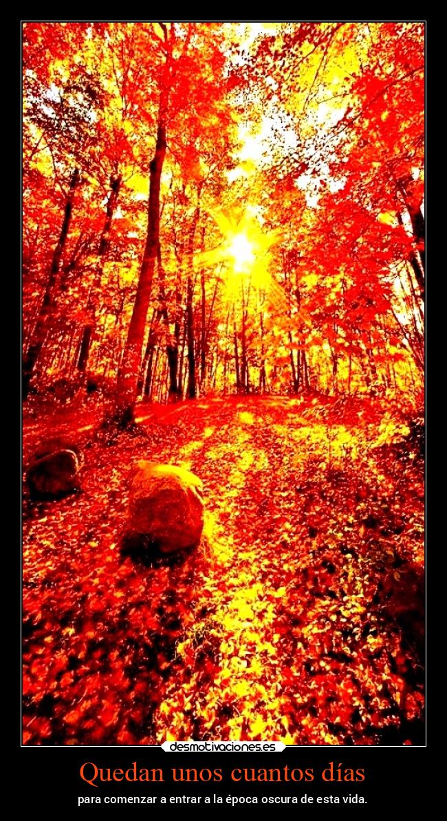 Quedan unos cuantos días - 
