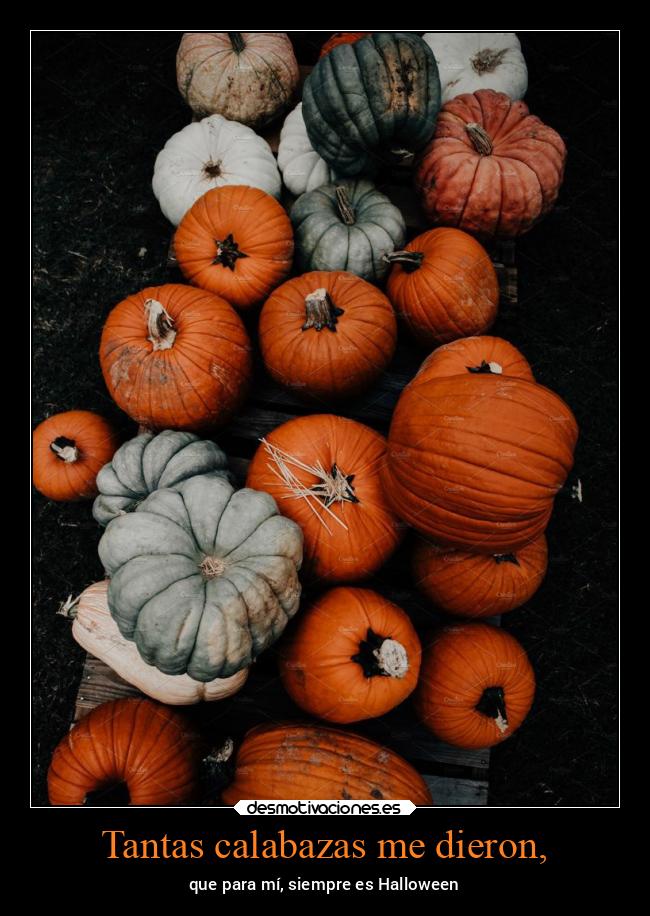 Tantas calabazas me dieron, - que para mí, siempre es Halloween