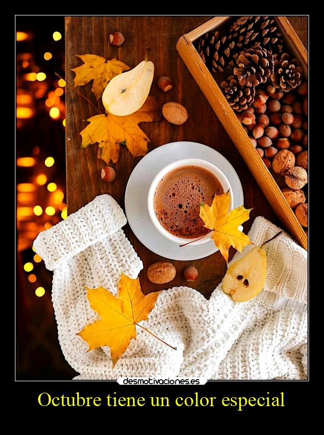 carteles vida october desmotivaciones