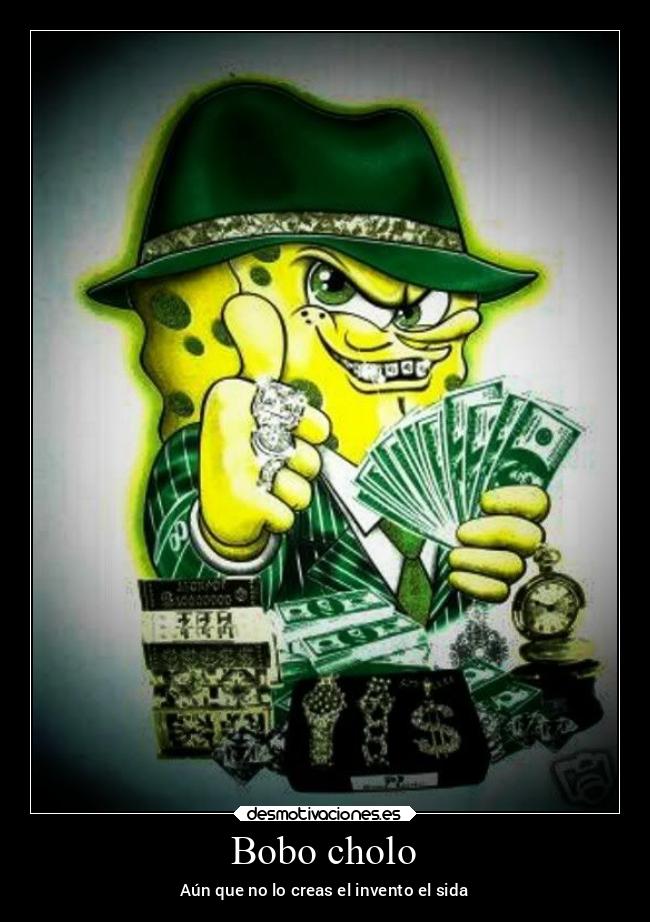 Bobo cholo - 