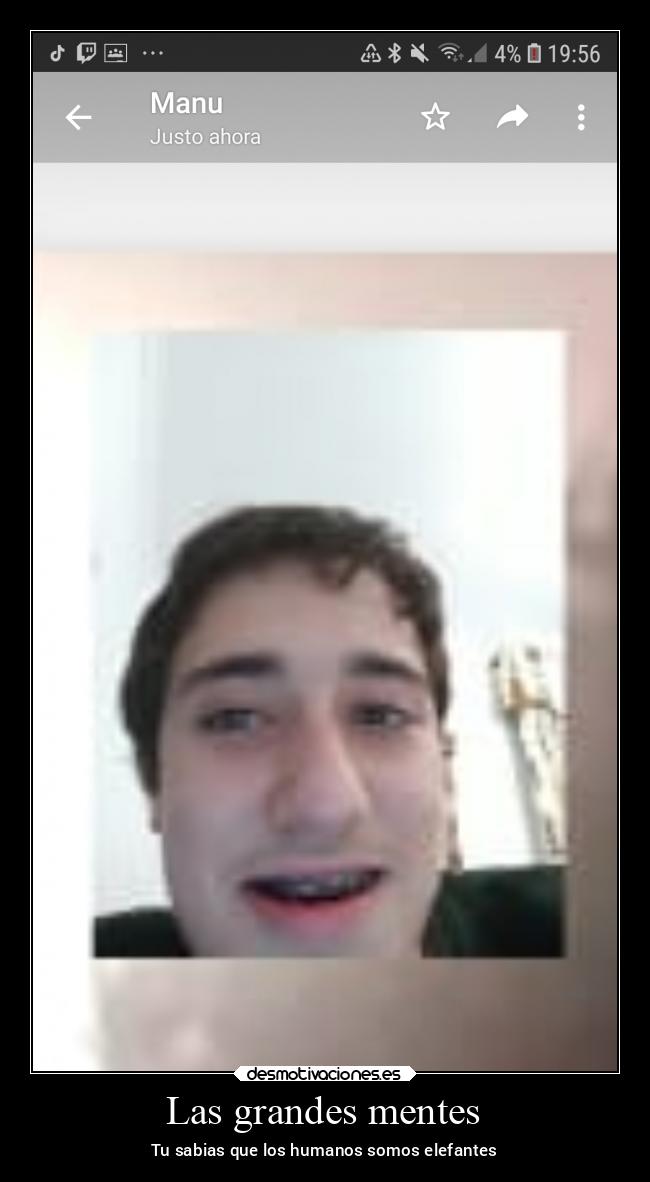 Las grandes mentes - Tu sabias que los humanos somos elefantes