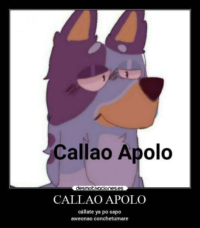 CALLAO APOLO -