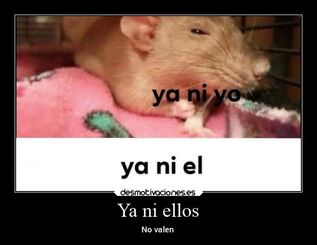 Ya ni ellos - No valen