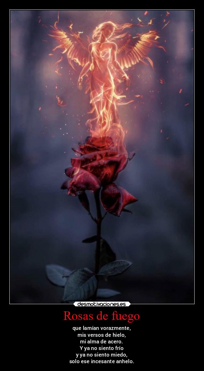 Rosas de fuego - que lamían vorazmente,
mis versos de hielo,
mi alma de acero.
Y ya no siento frío
y ya no siento miedo,
solo ese incesante anhelo.