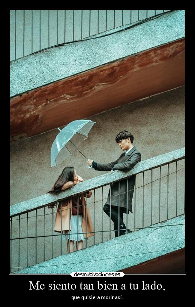 carteles amor desmotivaciones iamwrld teamdelasesino desmotivaciones