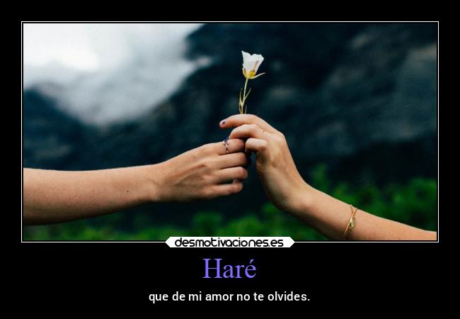 Haré - que de mi amor no te olvides.
