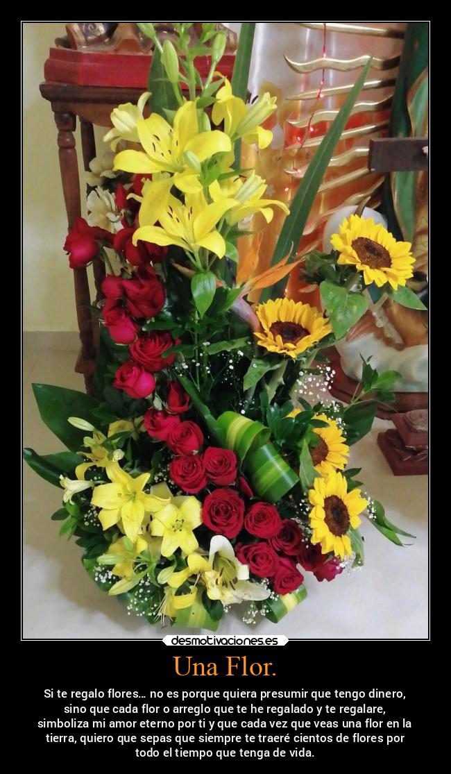 carteles amor desmotivaciones