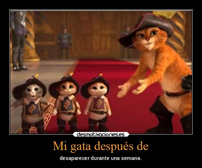 carteles animales desmotivaciones