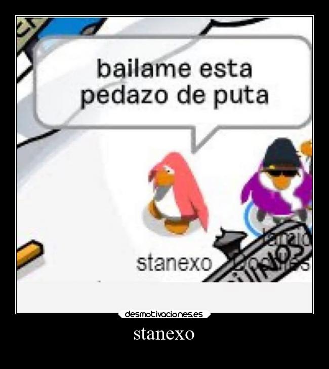 stanexo - 