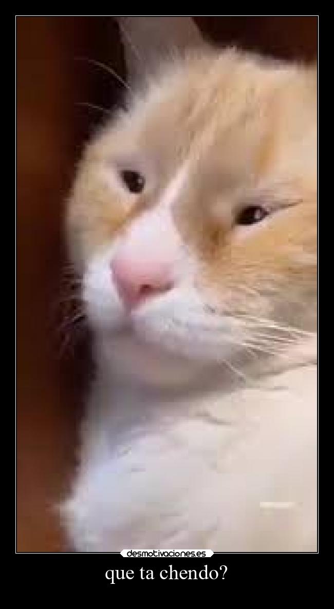 que ta chendo? - 日本は太平洋に浮かぶ島国であり、密集した都市、皇居、山岳国立公園、そして何千もの神社や寺院があります。新観線弾丸列車は、九州(沖縄の亜熱帯のビーチ)、本州(東京と広島の原爆記念碑)、北海道(スキーで有名)の主要な島々を結んでいます。首都の東京は、高層ビル、商業、ポップカルチャーで有名です。