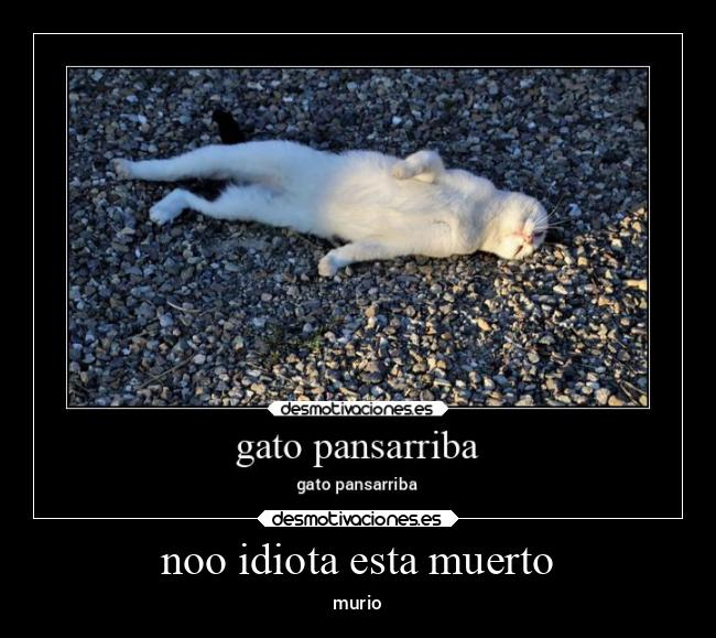 carteles bogota desmotivaciones