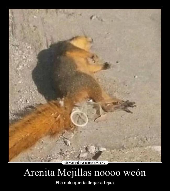 carteles chiste desmotivaciones