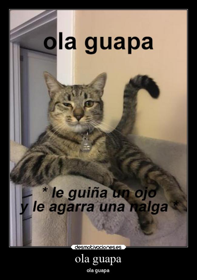 ola guapa - 