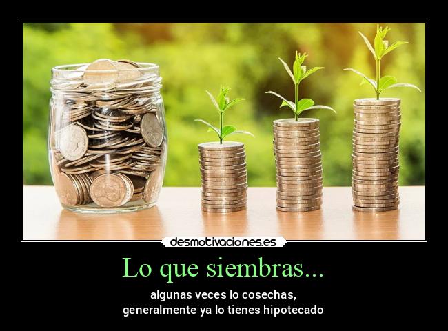 Lo que siembras... - 