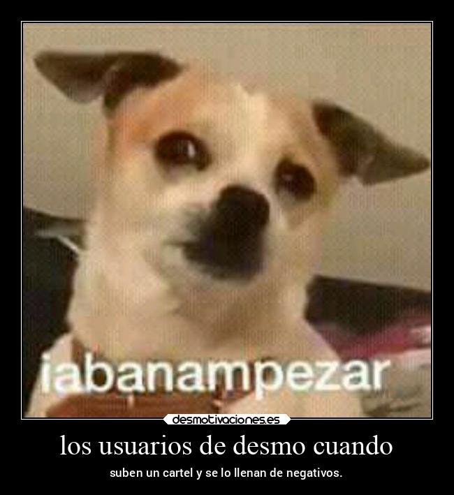 los usuarios de desmo cuando -