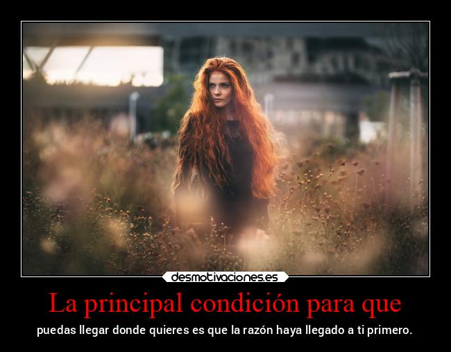 La principal condición para que - puedas llegar donde quieres es que la razón haya llegado a ti primero.