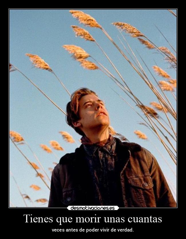 Tienes que morir unas cuantas - 