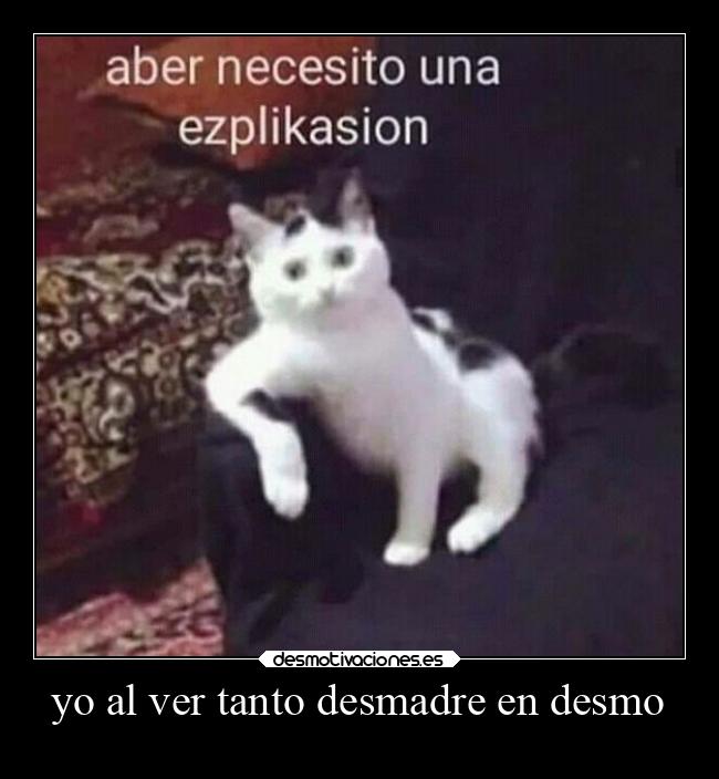yo al ver tanto desmadre en desmo -
