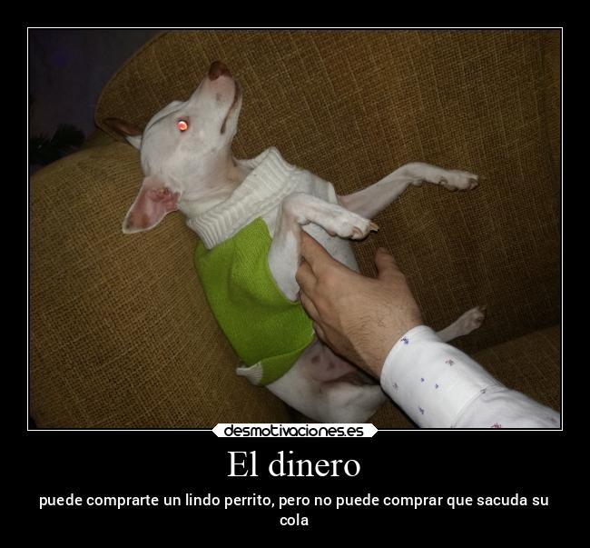 carteles dinero amistad animales abrazos amor desmotivaciones