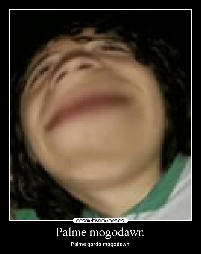 Palme mogodawn - Palme gordo mogodawn