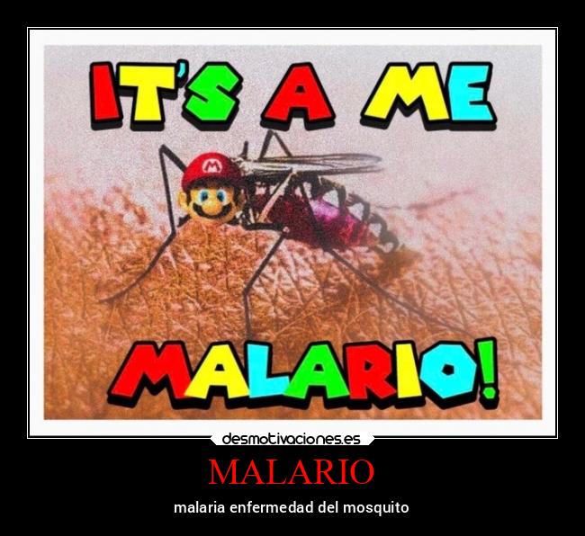 MALARIO - malaria enfermedad del mosquito