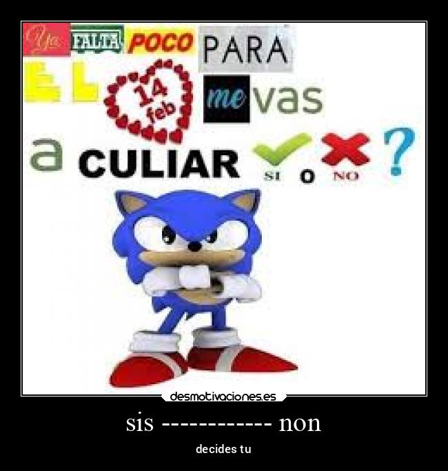 sis ------------ non - decides tu