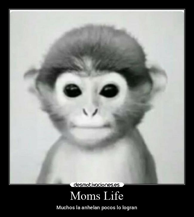 Moms Life - Muchos la anhelan pocos lo logran