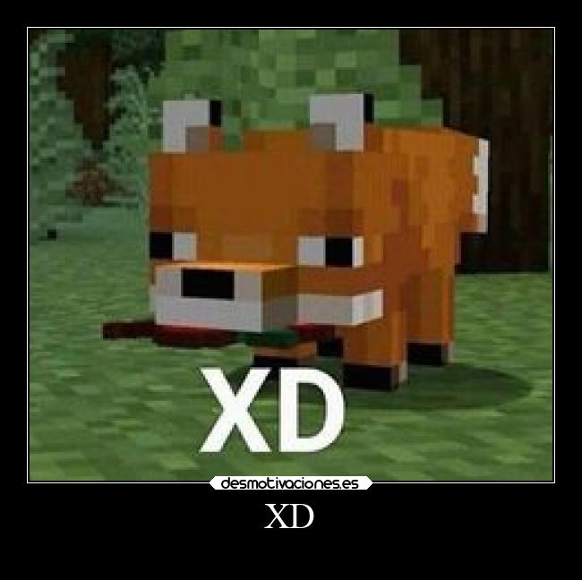 XD - 